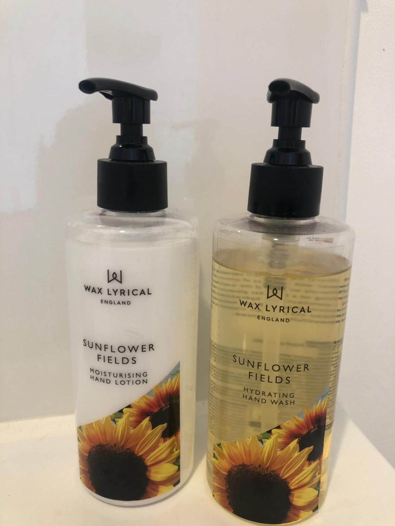 Gite Des Tournesols Oradour-Fanais Ngoại thất bức ảnh